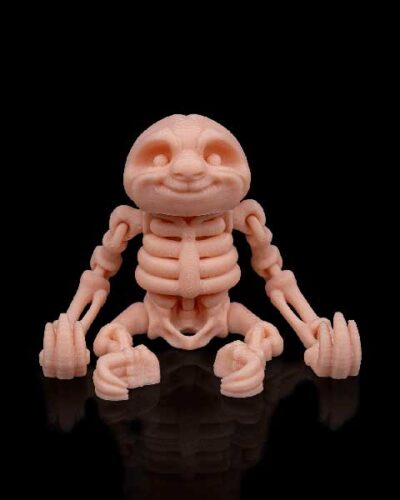 Sloth 3d print - skeleton