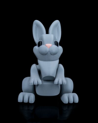 Bunny